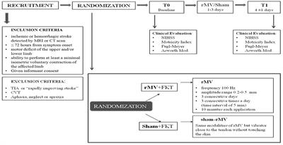 Short-Term Effects of Focal Muscle Vibration on Motor Recovery After Acute Stroke: A Pilot Randomized Sham-Controlled Study